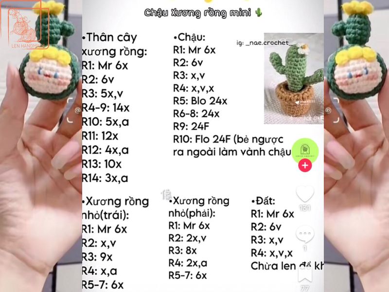 Chart móc chậu xương rồng