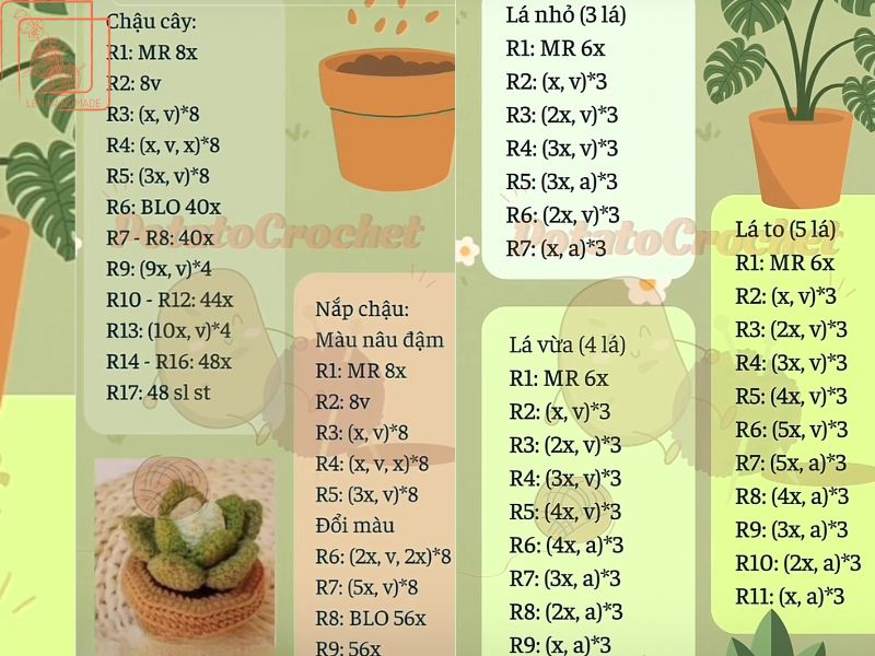 chart móc chậu xương rồng lai sen đá